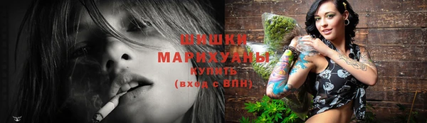 прущие грибы Магадан