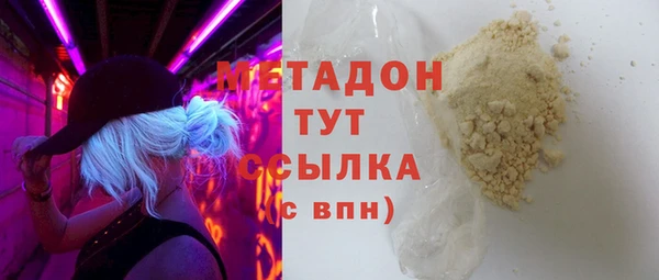 прущие грибы Магадан