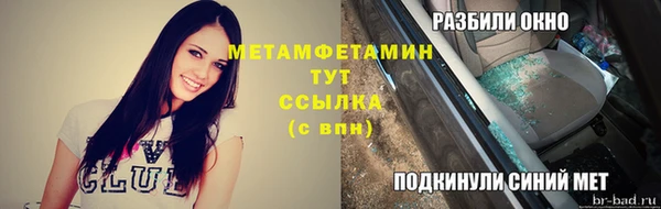 прущие грибы Магадан