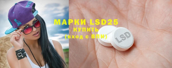прущие грибы Магадан