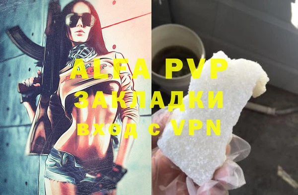 прущие грибы Магадан