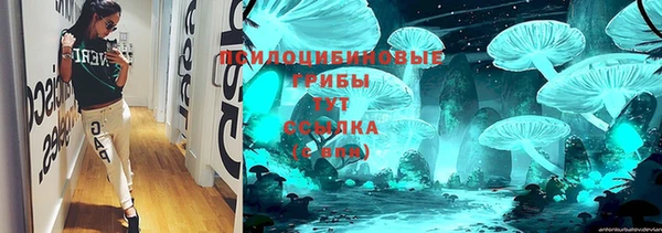 прущие грибы Магадан