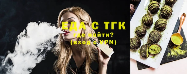 индика Абинск