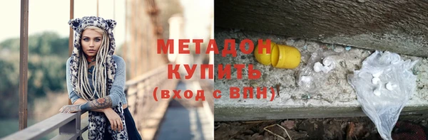 прущие грибы Магадан